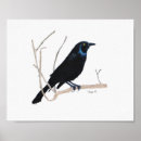 Recherche de dessin crayon coloré posters Oiseau