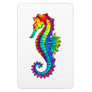 Zoek naar seahorse magneten Vis