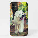Recherche de mammifères iphone coques Nature
