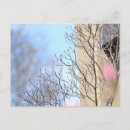 Recherche de début photographie Printemps