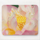 Recherche de lotus tapis souris Plante aquatique