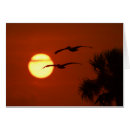 Recherche de pélicans blancs vœux cartes Vol