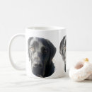 Recherche de labrador retriever noir tasses Animal familier