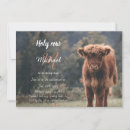 Recherche de veau de vache invitations Vache des hautes terres