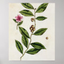 Zoek naar fl 1757 82 posters Pre 19th