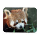 Recherche de zoo magnets Environnement
