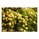 Recherche de paysage de jardin posters Plantes