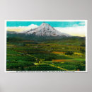 Zoek naar postcard kunst Collection