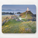 Recherche de phare tapis souris Coquillage