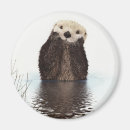 Recherche de loutre mignonne magnets Aquatique