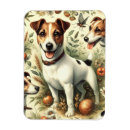 Recherche de jack russel magnets Chiot