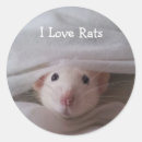 Recherche de rat autocollants Animal familier