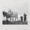 Recherche de original cartes postales Nouveau
