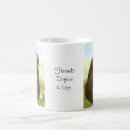 Recherche de big bear tasses Ours