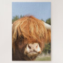 Zoek naar landbouw puzzels Boerderij