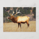 Recherche de forts cartes postales National