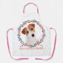 Recherche de terriers tabliers Jack russell terrier