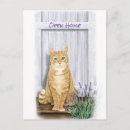 Recherche de chat orange cartes postales Marmelade