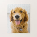 Recherche de chiens de sourire puzzles Golden retriever