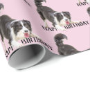 Recherche de colley papier cadeau Collie bore