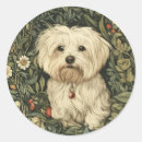 Recherche de petit chien blanc autocollants Vintage