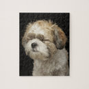 Zoek naar ogen puzzels Hond