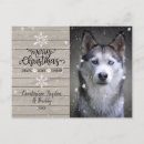 Recherche de chien neige cartes postales Flocons de neige