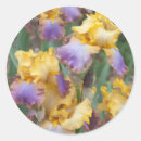 Zoek naar iris stickers Zomer