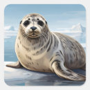 Recherche de temps froid autocollants Nature