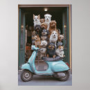 Recherche de vintage de chien posters Pour animaux