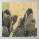 Zoek naar woestijn cactus posters Zomer