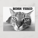 Recherche de fatigue cartes postales Chat