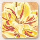 Recherche de fleur tulipe de dessous de verres Botanique