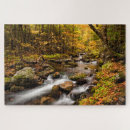 Recherche de érable puzzles Délimiteur danita