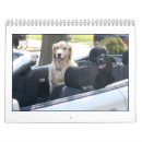 Recherche de 2010 bureau fournitures Chiens