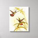 Recherche de deux oiseaux art Colibri