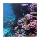 Recherche de récif carreaux Tropical