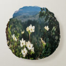 Recherche de blooming coussins Floraison