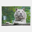 Recherche de faune cuisine linges Blanc
