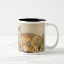 Recherche de grandes oreilles tasses Animal