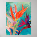 Recherche de paradise posters Bird of paradise