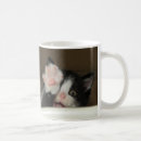 Recherche de salutation de chaton Chatons