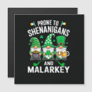 Zoek naar saint patricks day kaarten Schelmenstreken