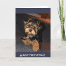 Recherche de yorkshire terrier anniversaire cartes Chien