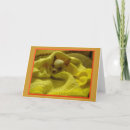 Recherche de chiwawas vœux cartes Blanc