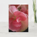 Zoek naar schilde kaarten Roze