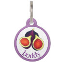 Recherche de grande figue Fruit