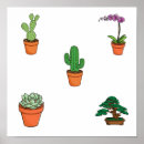 Recherche de bonsaïs fleurissants Fleurir