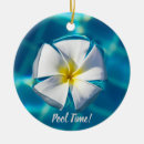 Zoek naar polen kerstdecoratie Stad