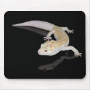 Recherche de géant tapis souris Sauvage